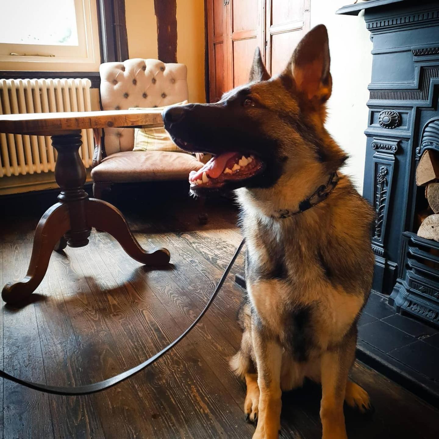 The Crown Hotel Framlingham Luaran gambar
